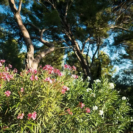 Domaine De Saint Clair Bed & Breakfast